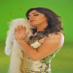 Yasmine niazzy sur yala.fm